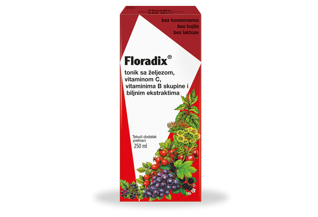 Dietpharm Floradix® tonik 250 ml 