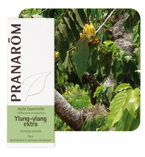 Pranarom eterično ulje Ylang Ylang Extra 5 ml