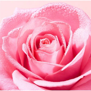 Nuxe Very Rose Piling za lice 75ml