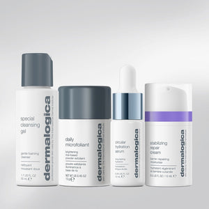 Dermalogica Home for the Holidays