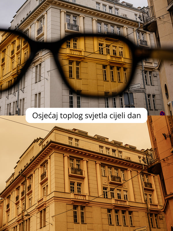 EQUA The Editor naočale za plavo svjetlo i UV Tortoise