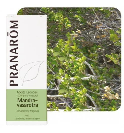 Pranarom eterično ulje Mandravasarotra 10 ml