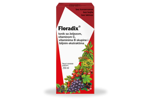 Dietpharm Floradix® tonik 250 ml 