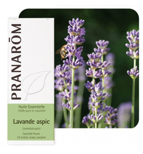 Pranarom eterično ulje lavanda širokolisna 10 ml