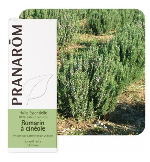 Pranarom eterično ulje ružmarin cineol 10 ml