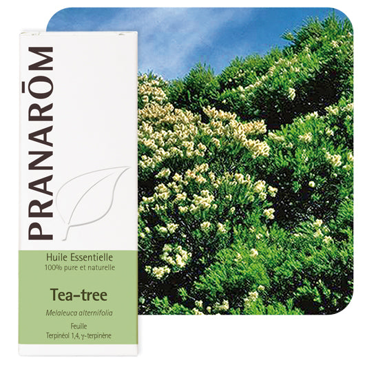 Pranarom eterično ulje Čajevac 10 ml