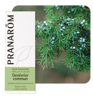 Pranarom eterično ulje Borovica 5ml 