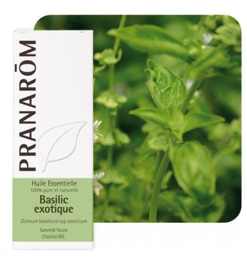 Pranarom eterično ulje Bosiljak 10ml 