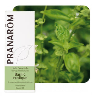 Pranarom eterično ulje Bosiljak 10ml 