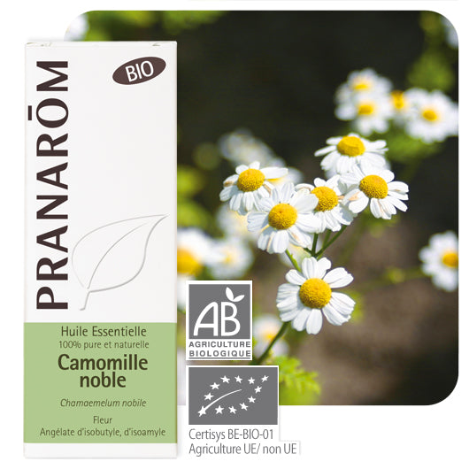Pranarom eterično ulje Kamilica rimska 10ml