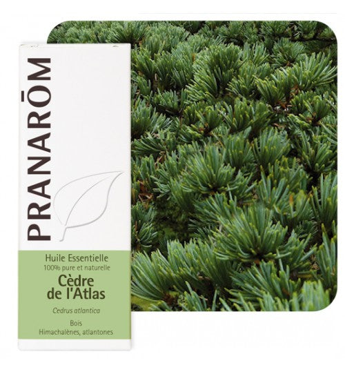 Pranarom eterično ulje Cedar atlaski 10ml 