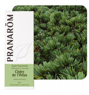 Pranarom eterično ulje Cedar atlaski 10ml 