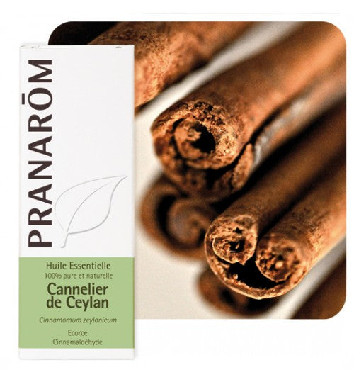 Pranarom eterično ulje Cimet kora 5ml 