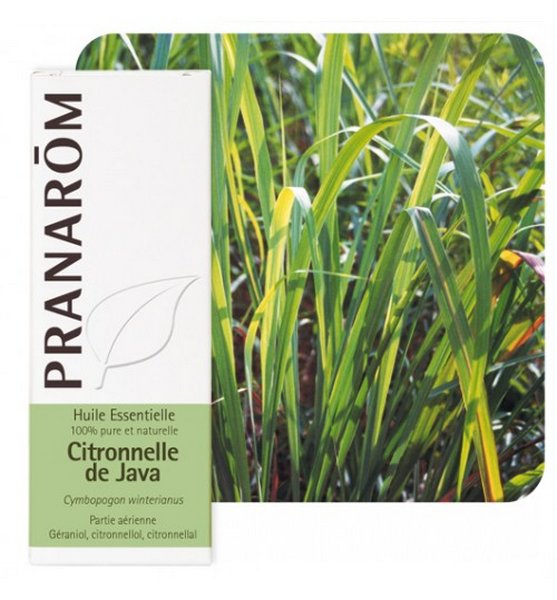 Pranarom eterično ulje Citronela Javanska 10ml