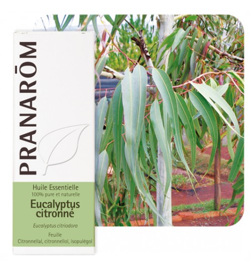 Pranarom eterično ulje Eukaliptus limun 10ml 