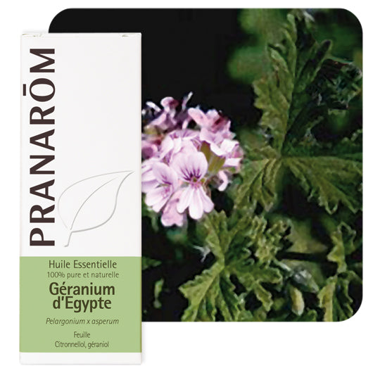 Pranarom eterično ulje Geranij egipatski 10ml