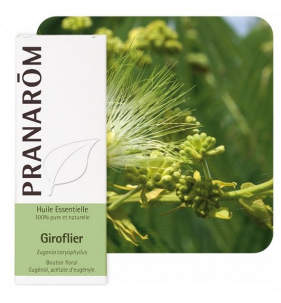 Pranarom eterično ulje Klinčićevac 10ml 