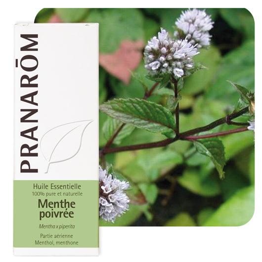 Pranarom eterično ulje Paprena metvica 10 ml