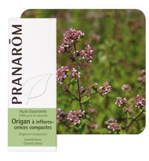 Pranarom eterično ulje Origano 10ml 