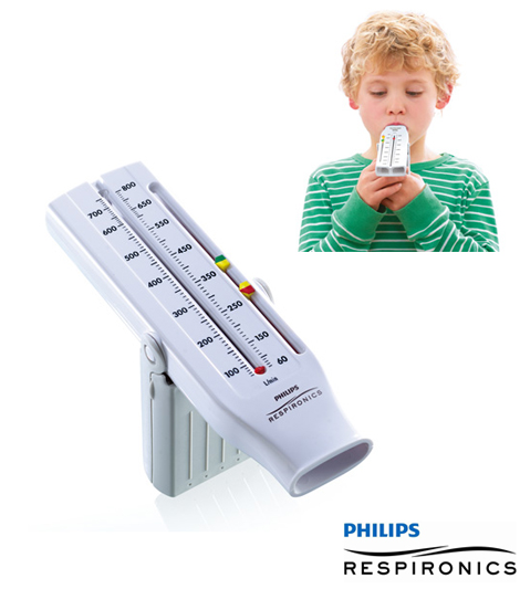 Philips Personal Best peak flow metar