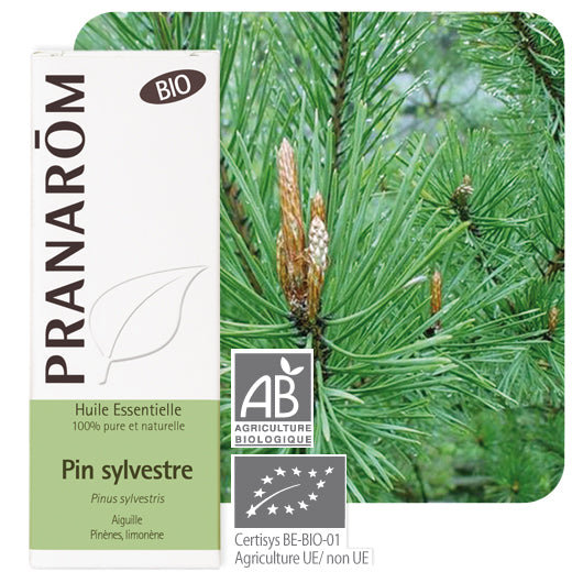 Pranarom eterično ulje Bijeli bor 10 ml