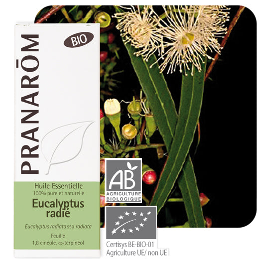 Pranarom eterično ulje Eukaliptus radiata 10ml