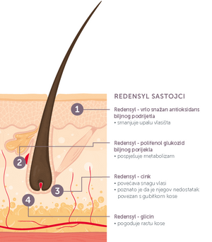 Revalid serum za ponovni rast kose 50 ml